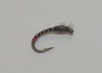 Phil Rowley's Clear Water Pupa-Olive