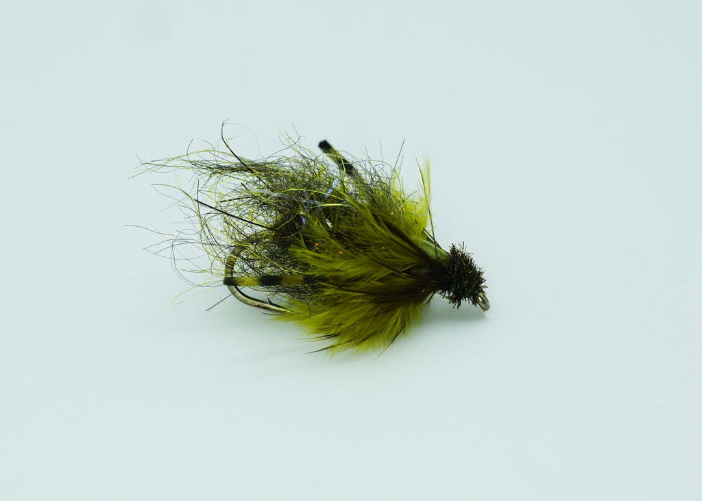 GRIZZLY SEDGE PUPA