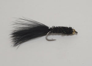 Brian Chan's Las Vegas Leech