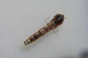 Conquering Chironomids Master Class-$189.95 CDN